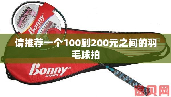 请推荐一个100到200元之间的羽毛球拍 请推荐一个100到200元之间的羽毛球拍