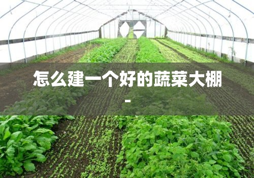 【江西婺源油菜花最佳时间/婺源油菜花啥时候比较好】