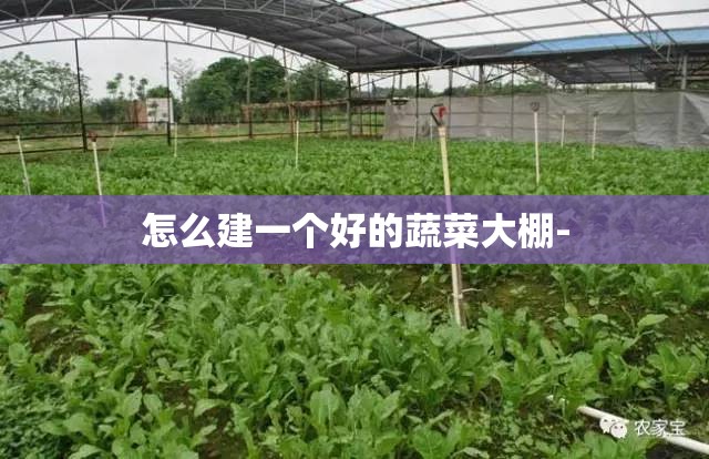 怎么建一个好的蔬菜大棚- 怎么建一个好的蔬菜大棚-