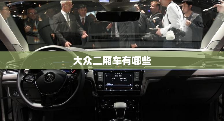大众二厢车有哪些