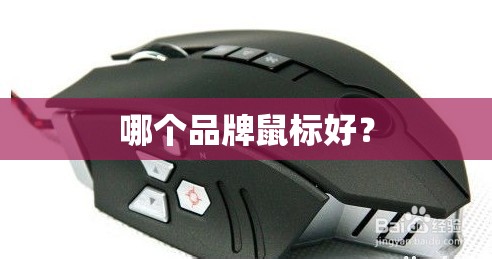 哪个品牌鼠标好? 哪个品牌鼠标好?