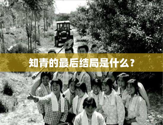 知青的最后结局是什么？