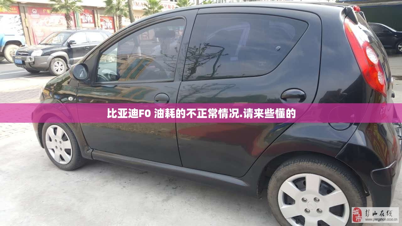 知青的最后结局是什么？