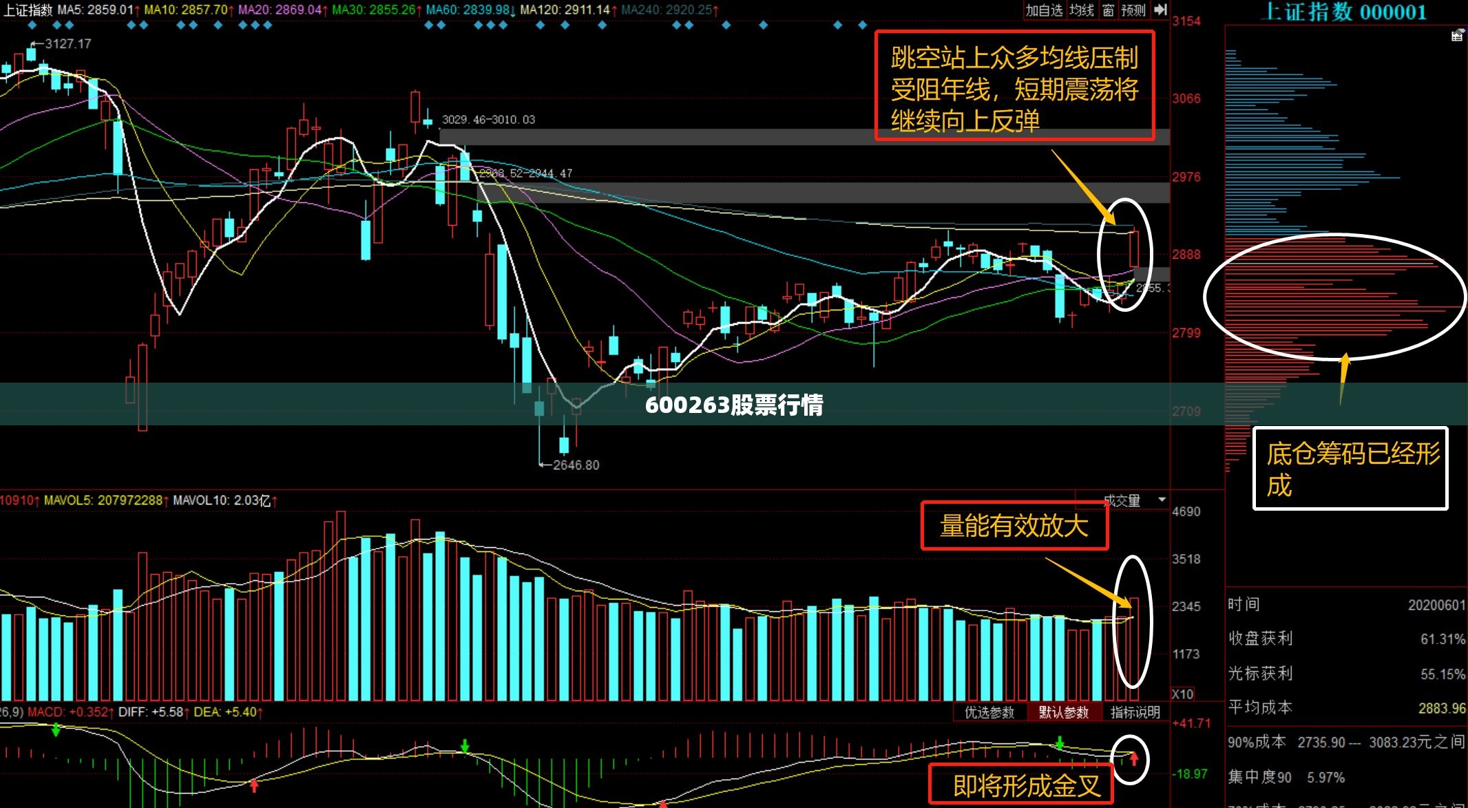 600263股票行情