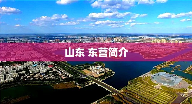 盛通股份目标价（盛通股份概念）