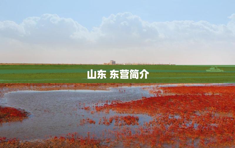 山东 东营简介