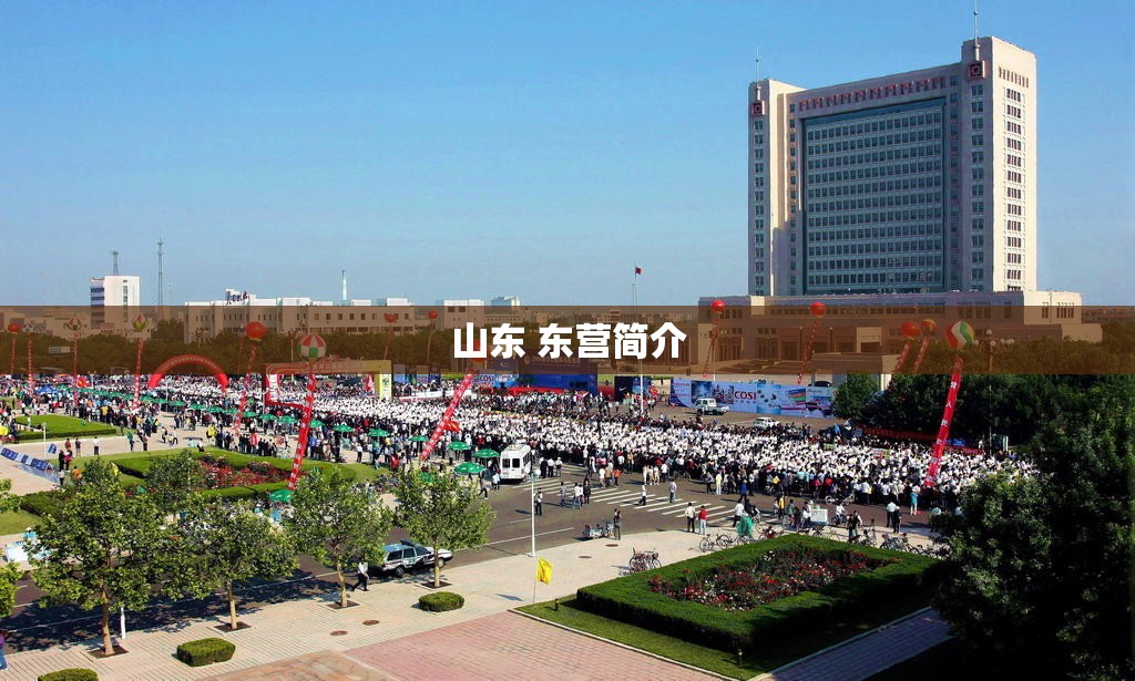 山东 东营简介