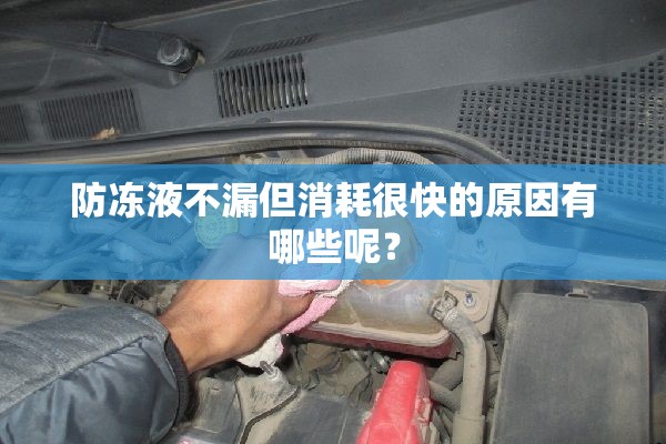 1月自主汽车销量排行