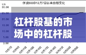 杠杆股基的市场中的杠杆股票基金