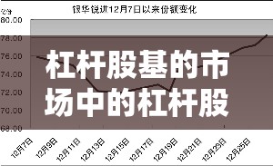 杠杆股基的市场中的杠杆股票基金