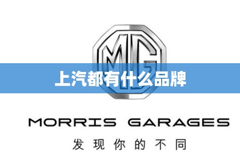 上汽都有什么品牌 上汽都有什么品牌