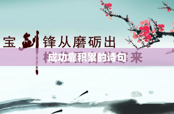 【09款奥迪a6l论坛/09款奥迪a620t】