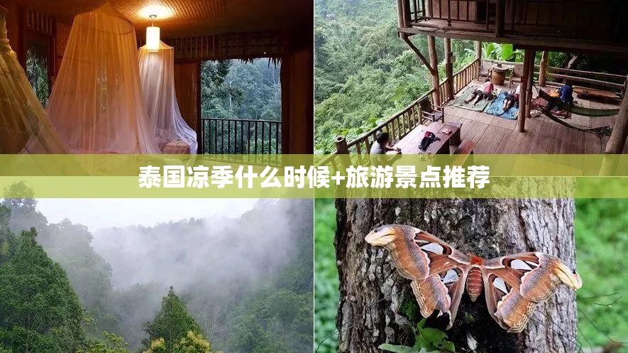20万的家用轿车怎么选？