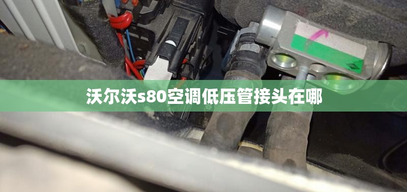 德州天气最新（德州天气最新30天）