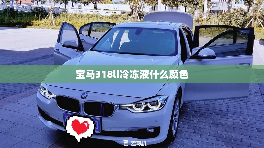 科普一下福建天天十三水有没有挂”开挂辅助透视教程