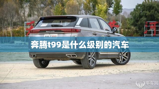 【宝马x30费用及图片,宝马x30费用及图片大全】