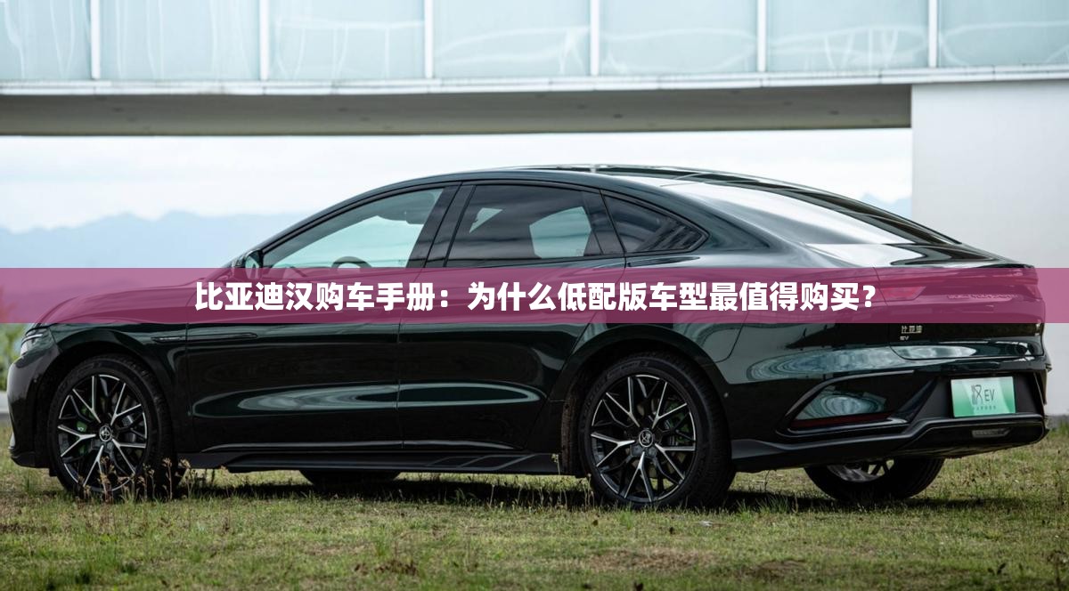 玩家辅助神器:欢乐众娱有挂吗(必备神器)”其实真的确实有挂