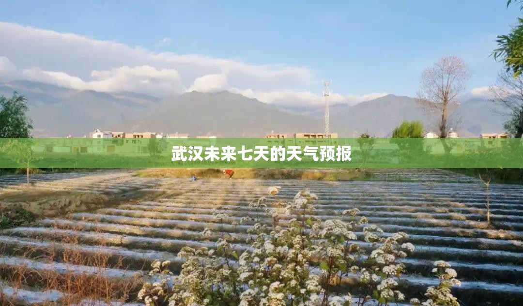 武汉未来七天的天气预报