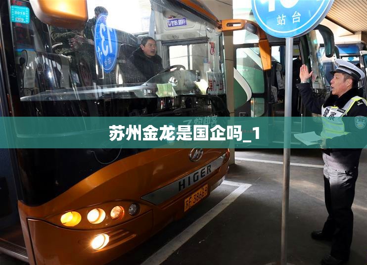 苏州金龙是国企吗_1