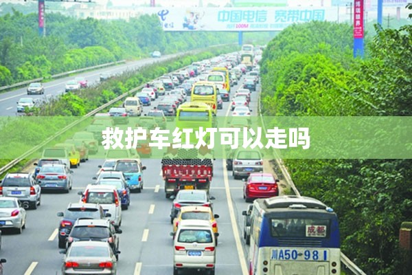 2022下半年股票涨幅排名/2022下半年股票涨幅排名榜最新