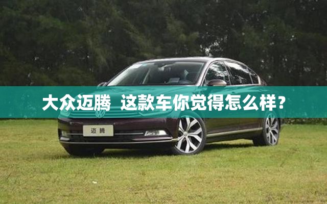 大众迈腾  这款车你觉得怎么样？