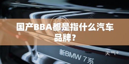 安装程序教程“天天微友有挂吗”最新辅助详细教程