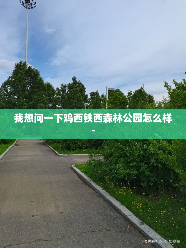 我想问一下鸡西铁西森林公园怎么样-