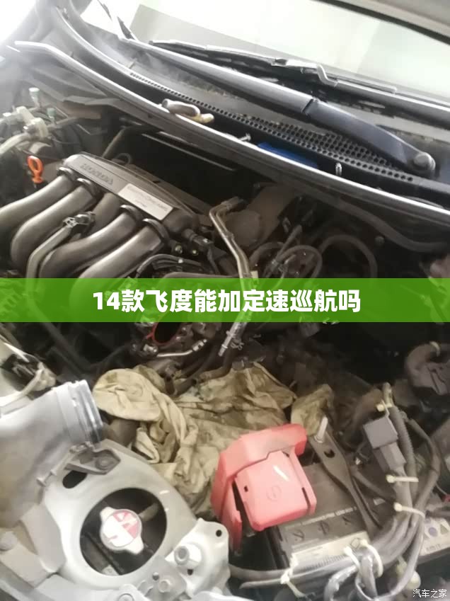 玩家必备攻略!乐总统有没有挂!辅助神器插件下载