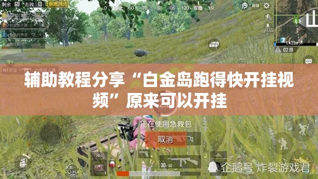 辅助教程分享“白金岛跑得快开挂视频”原来可以开挂