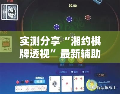 辅助教程分享“嘻游联盟辅助器”详细透视教程