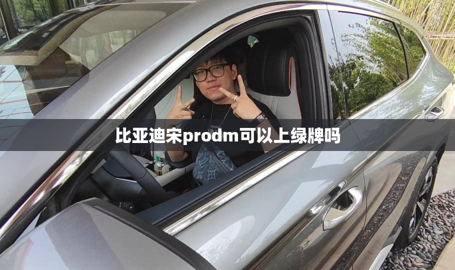 比亚迪宋prodm可以上绿牌吗