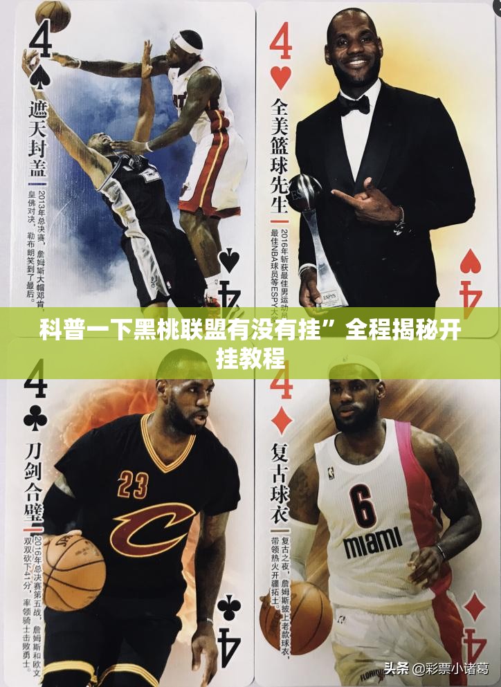 国内小众电商平台（国内小众电商平台排名）