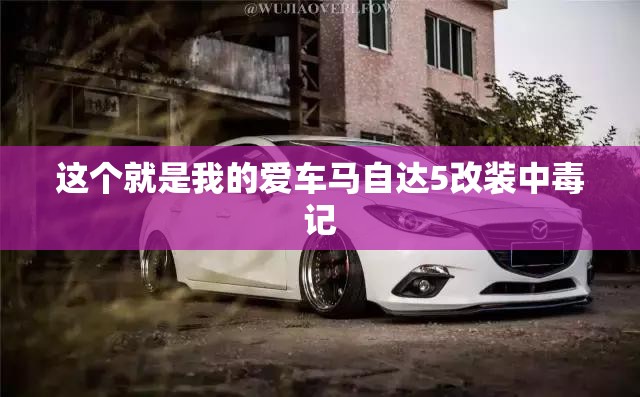 【中央汇金公司前十重仓股票/中央汇金公司持有的股票说明什么】