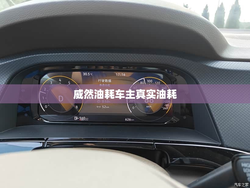 威然油耗车主真实油耗