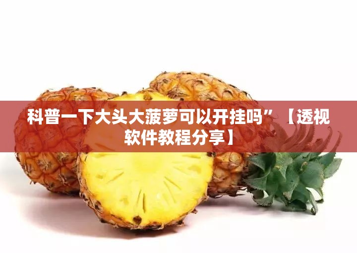 玩家辅助神器“先锋跑得快有挂吗？”2026开挂教程步骤