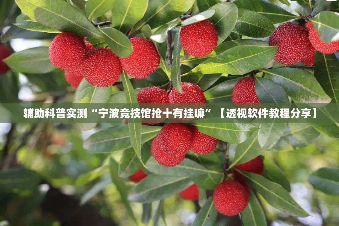 辅助科普实测“宁波竞技馆抢十有挂嘛”【透视软件教程分享】
