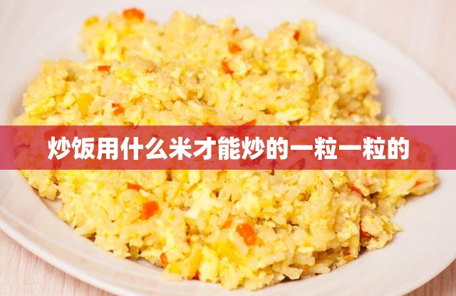 炒饭用什么米才能炒的一粒一粒的