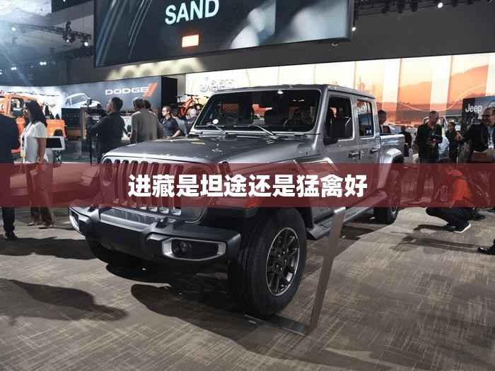 安装程序教程“白金岛十胡卡可以开挂吗”详细辅助软件教程