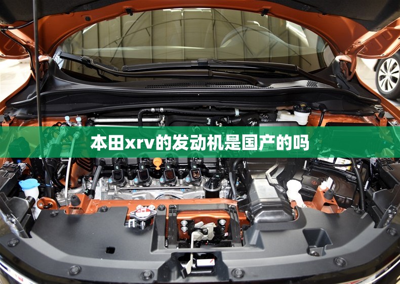 推荐一款“大关新摆二可以开挂吗”开挂辅助透视教程