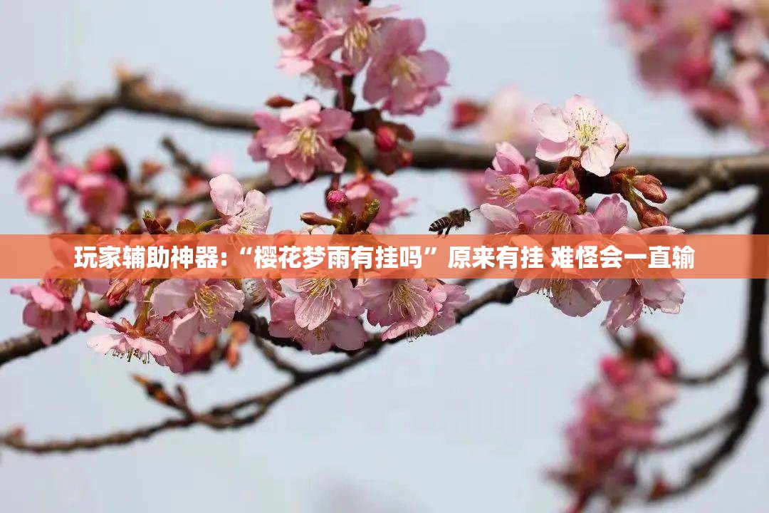 科普一下闲游麻将有没有挂(必备神器)”其实真的确实有挂