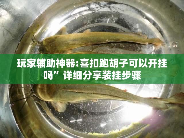 玩家必备攻略!欢乐龙城9可以开挂吗”通用版下载教程
