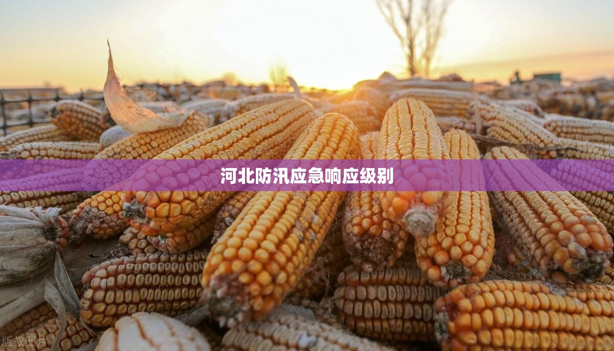万能开挂辅助“新讯奇麻将挂在哪里开”通用版下载教程
