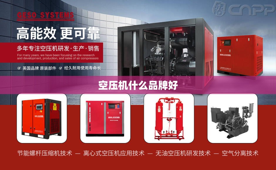辅助教程分享“桃乐互娱辅助器”详细辅助软件教程