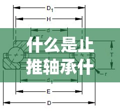 什么是止推轴承什么是支撑轴承_1 什么是止推轴承什么是支撑轴承_1