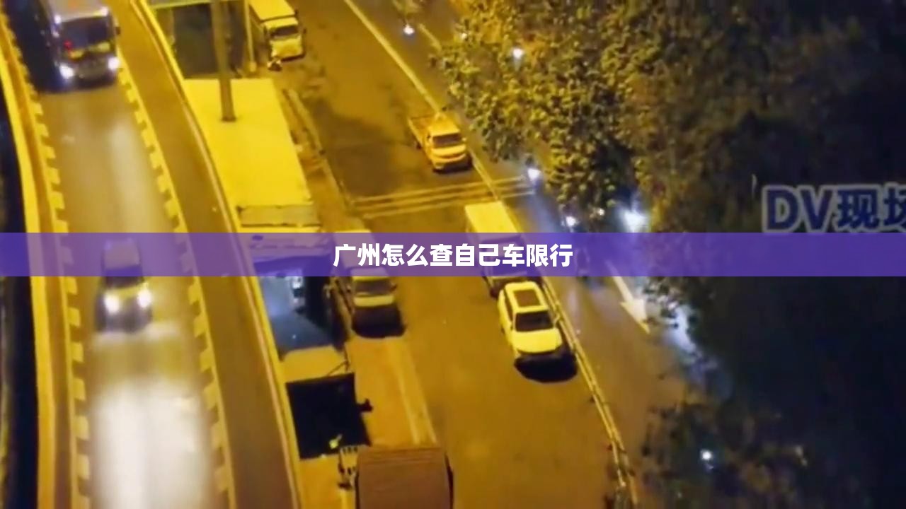 广州怎么查自己车限行