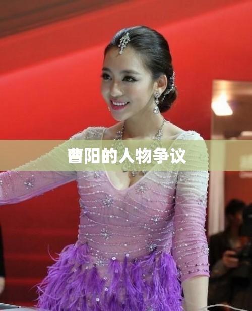 曹阳的人物争议 曹阳的人物争议