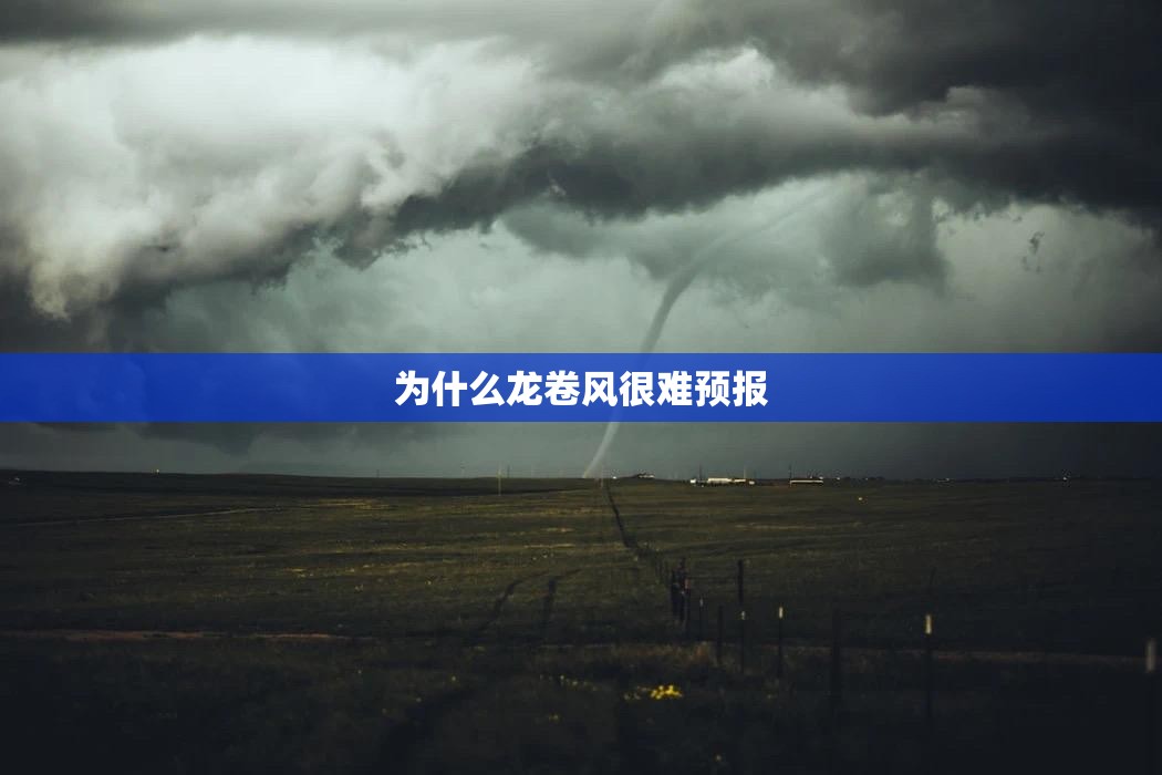 玩家辅助神器:“牵手跑胡子开挂神器下载”通用版下载教程