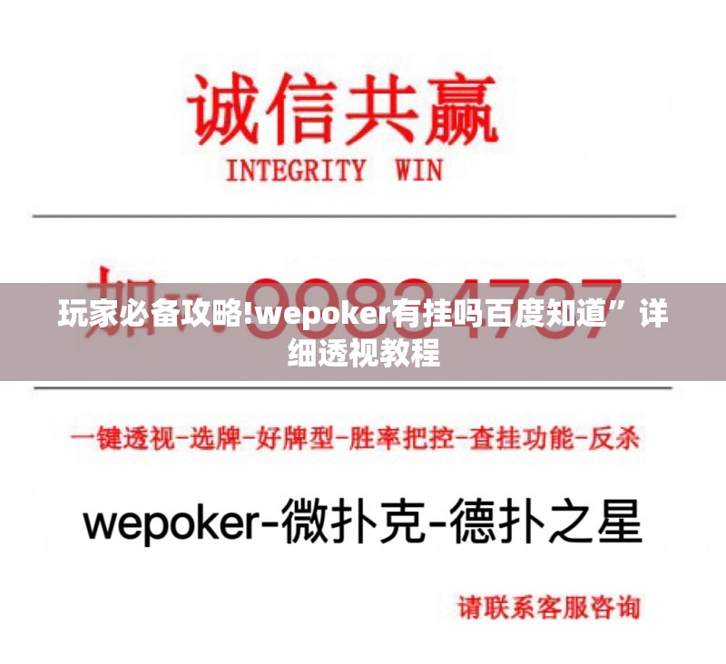 玩家必备攻略!wepoker有挂吗百度知道”详细透视教程