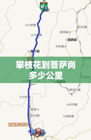 攀枝花到菩萨岗多少公里