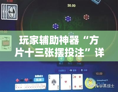 玩家辅助神器“闲云仙桃晃晃有挂吗”辅助透视教程